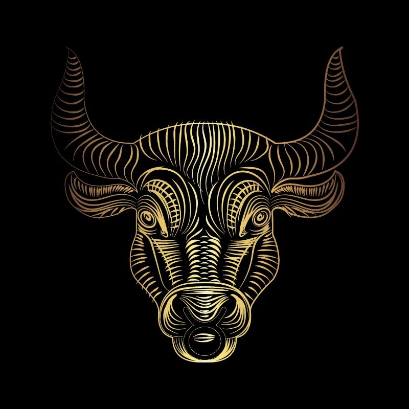 Taurus Stier Sternzeichen Geschenk