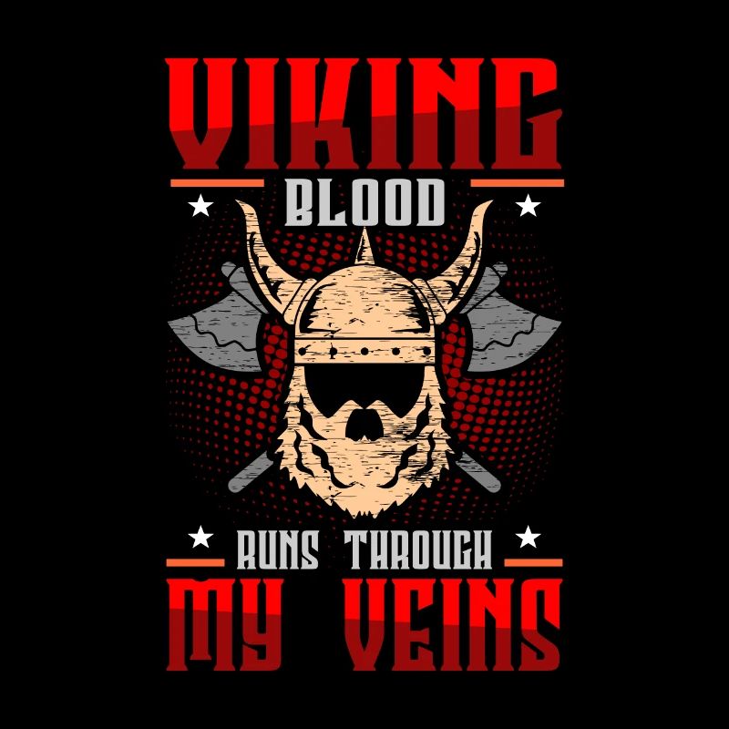 Wikinger Vikings