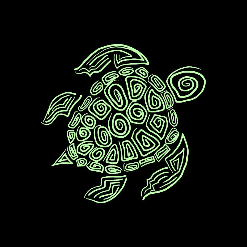 Turtle turtle shell animal