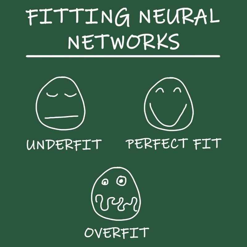 Datascience: Neural Networks Model Fitting (White)