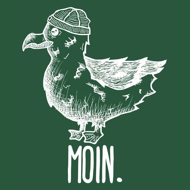 Möwe Moin