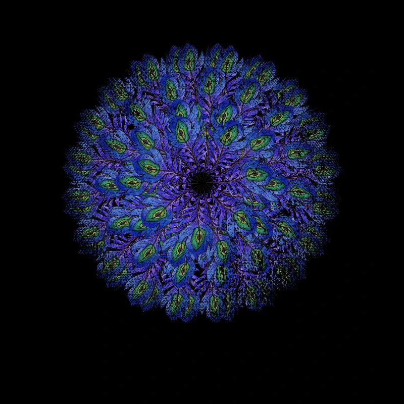 peacock