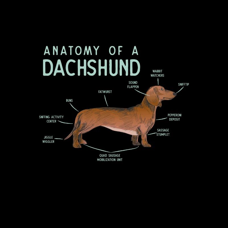 Anatomie eines Dackelprodukts
