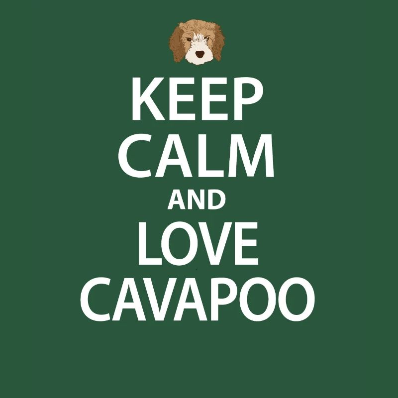 Chien Cavapoo