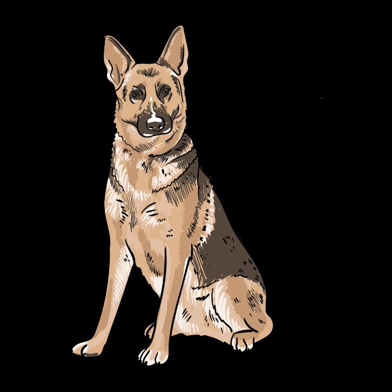German Shepherd