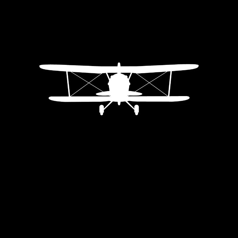 Model flight