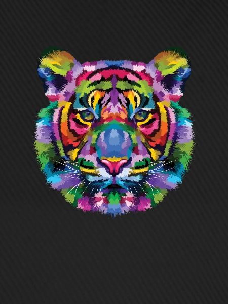 Tiger animal