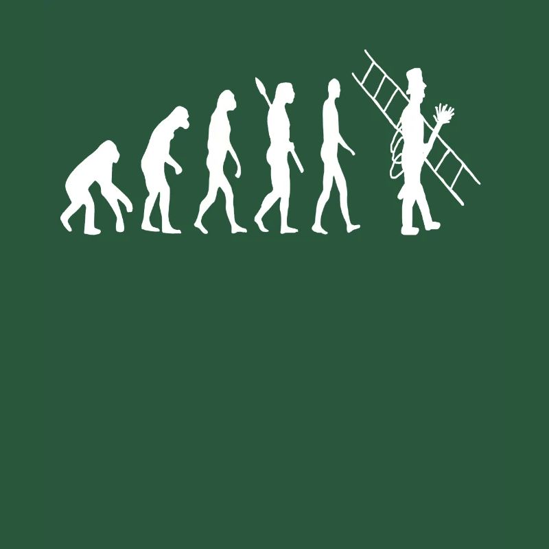Évolution du ramoneur Évolution du ramoneur