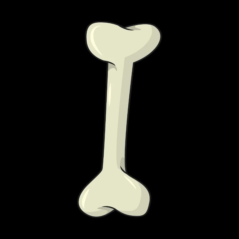 Knochen