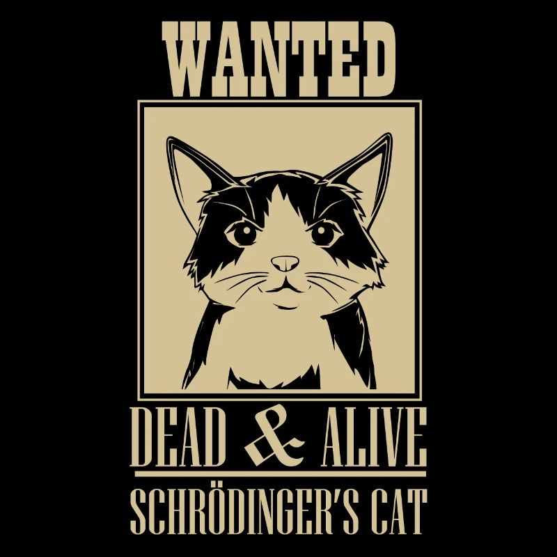 Schrödingers Katze Dead & Alive Student Physik