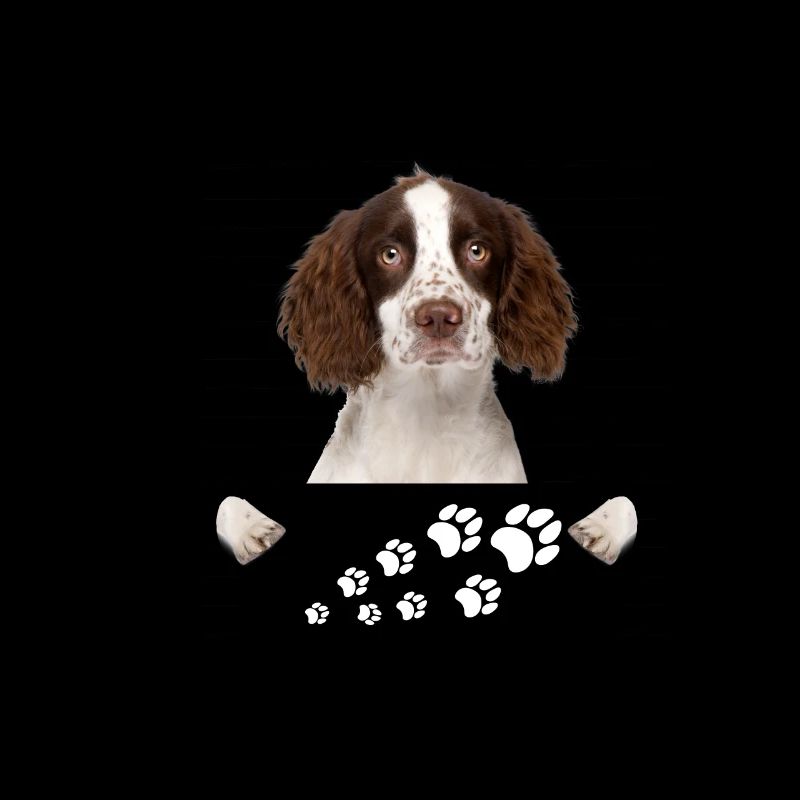 English Springer Spaniel