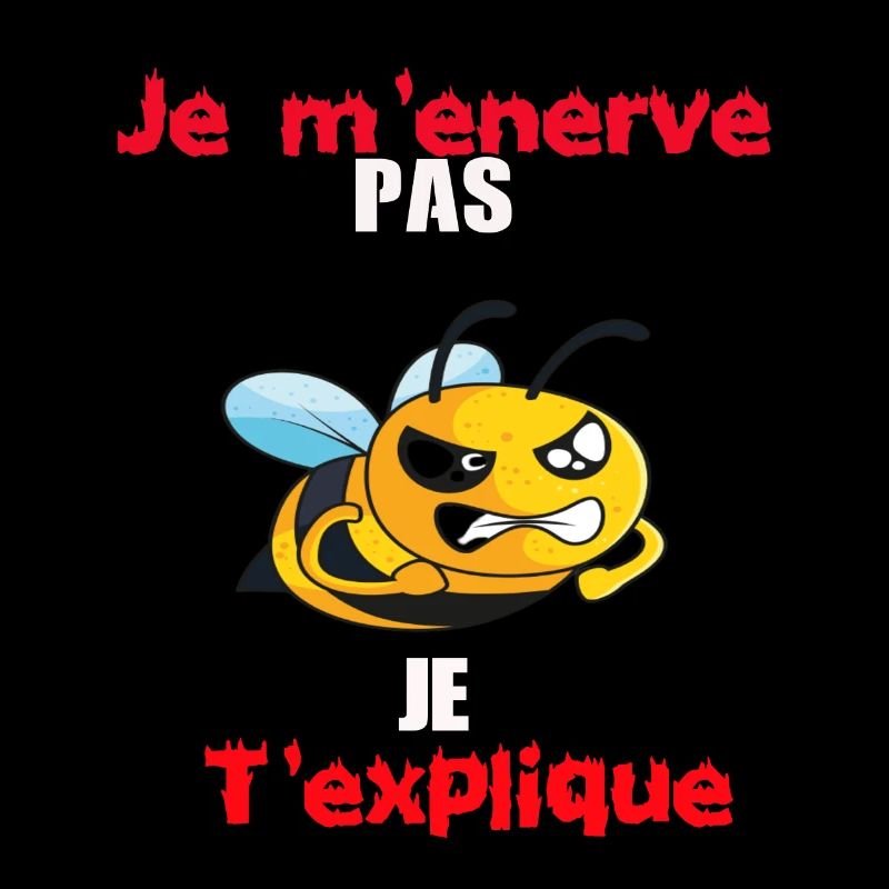 je m' enerve pas je t' explique