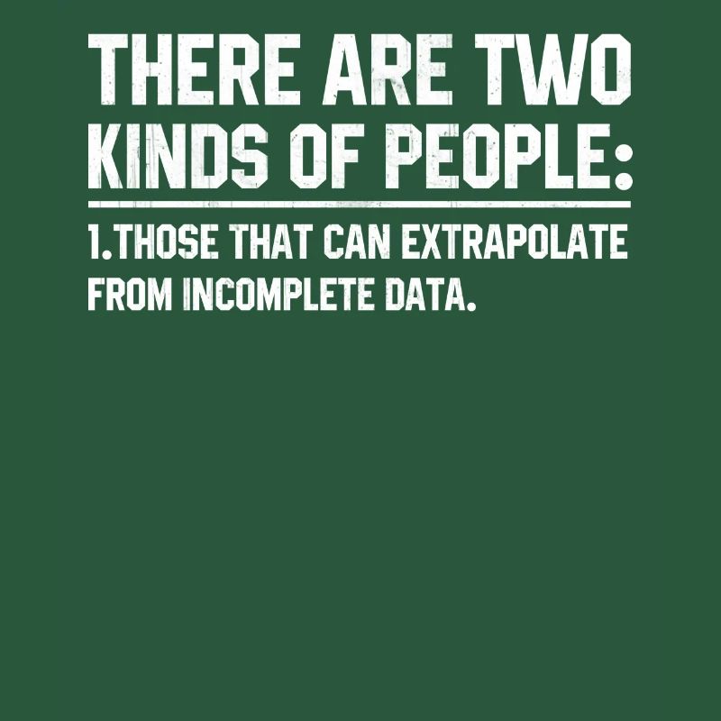 Software developer programmer