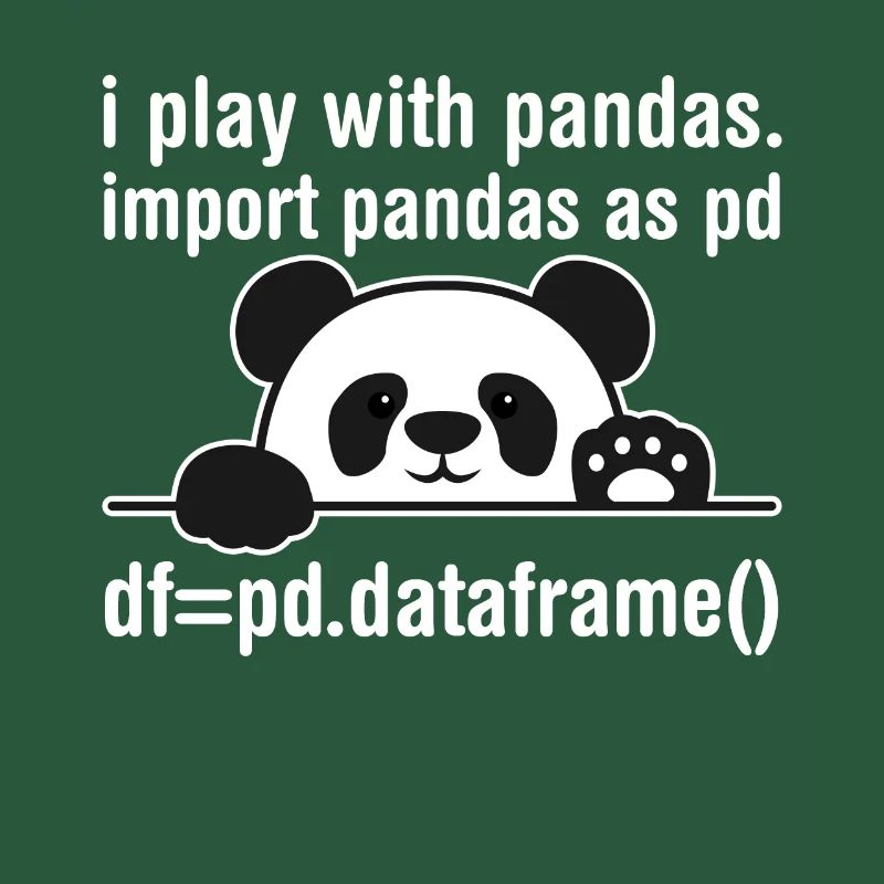 Python programmer IT nerd panda programming
