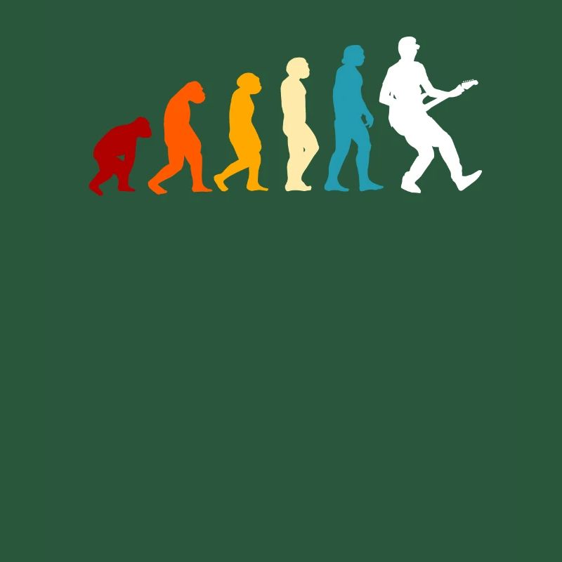 E-guitare Evolution