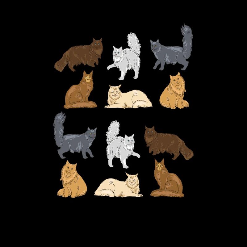 Maine Coon Katze Katzen Kätzchen