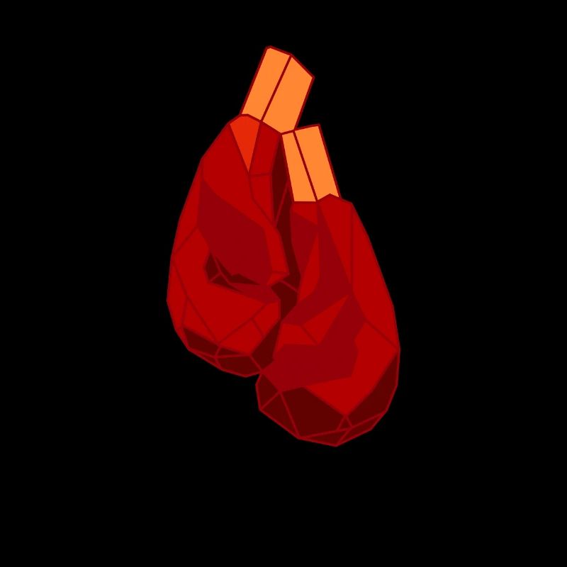 Boxe Boxer Boxer Boxer