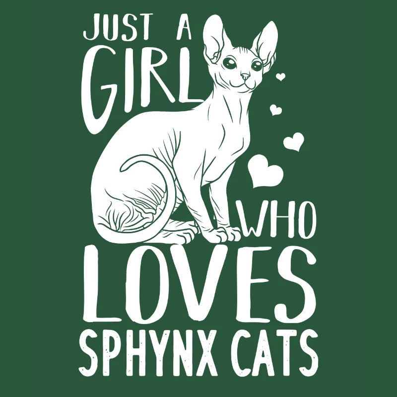 Sphynx chat chat égyptien propriétaire