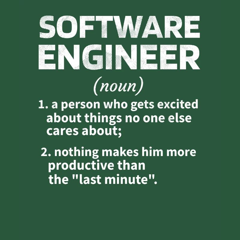Softwareingenieur Software Engineer Techniker