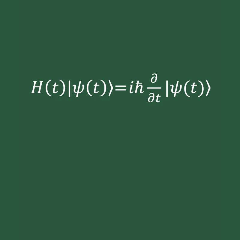 Schrödinger Equation Physicist Gift Physics
