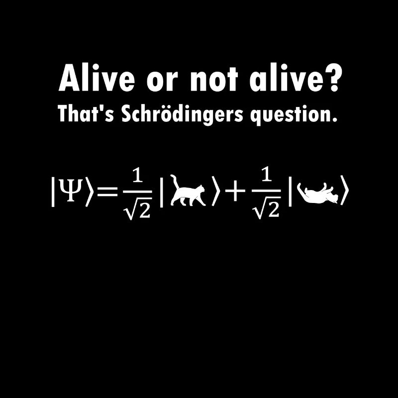 Chat De Schrödinger - physicien cadeau de physique nerd