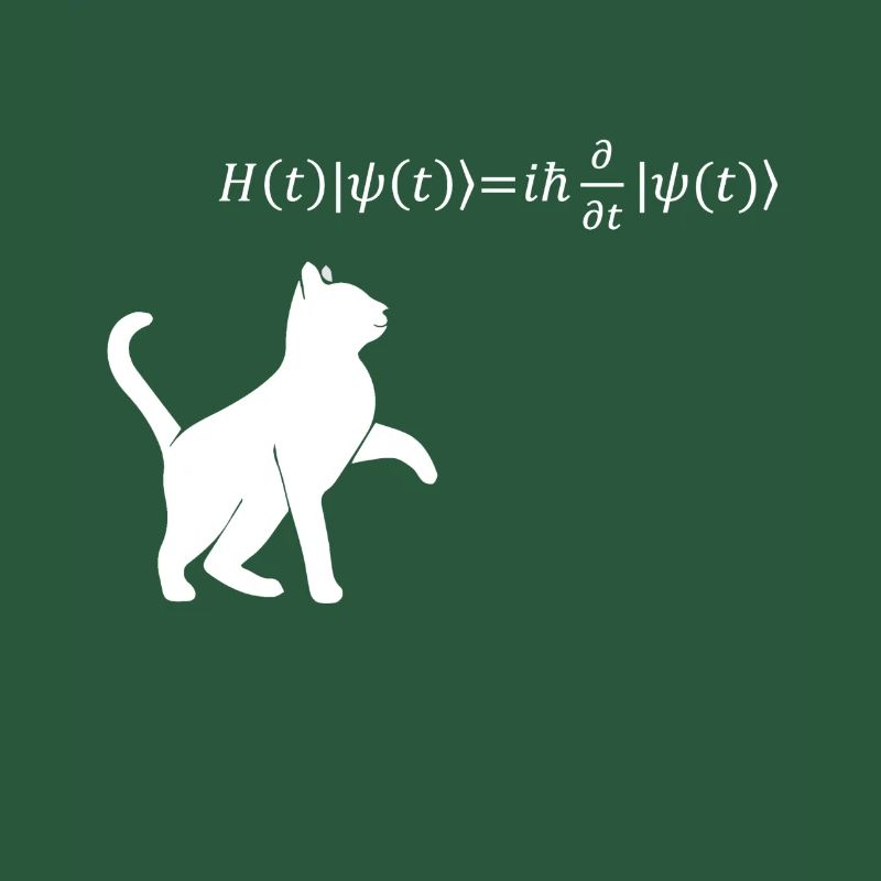 Schrödinger's Cat - Physicist Gift Physics Nerd