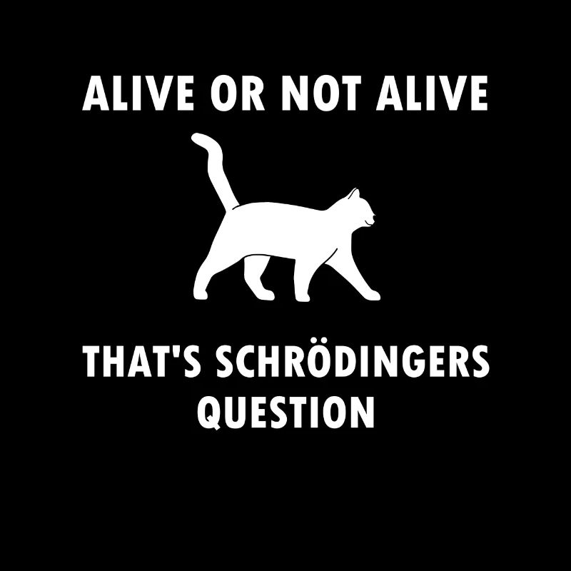 Chat De Schrödinger - physicien cadeau de physique nerd