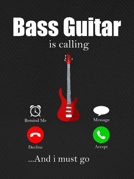 bassist