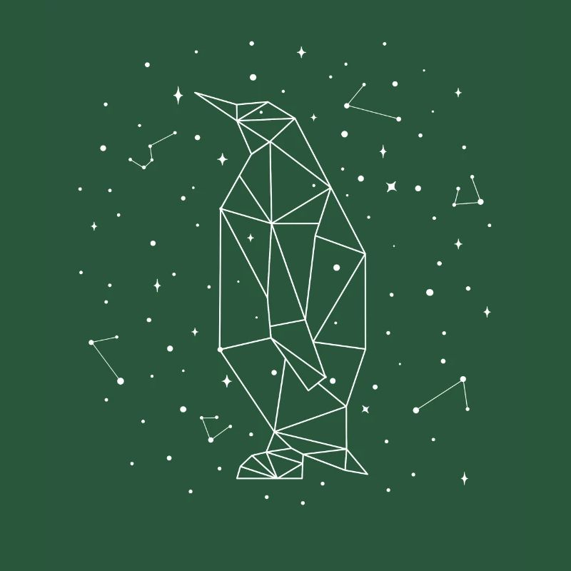 Constellation Penguin Constellation Seabird