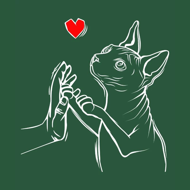 Sphynx Chat Amour Sphinx Chat Nu