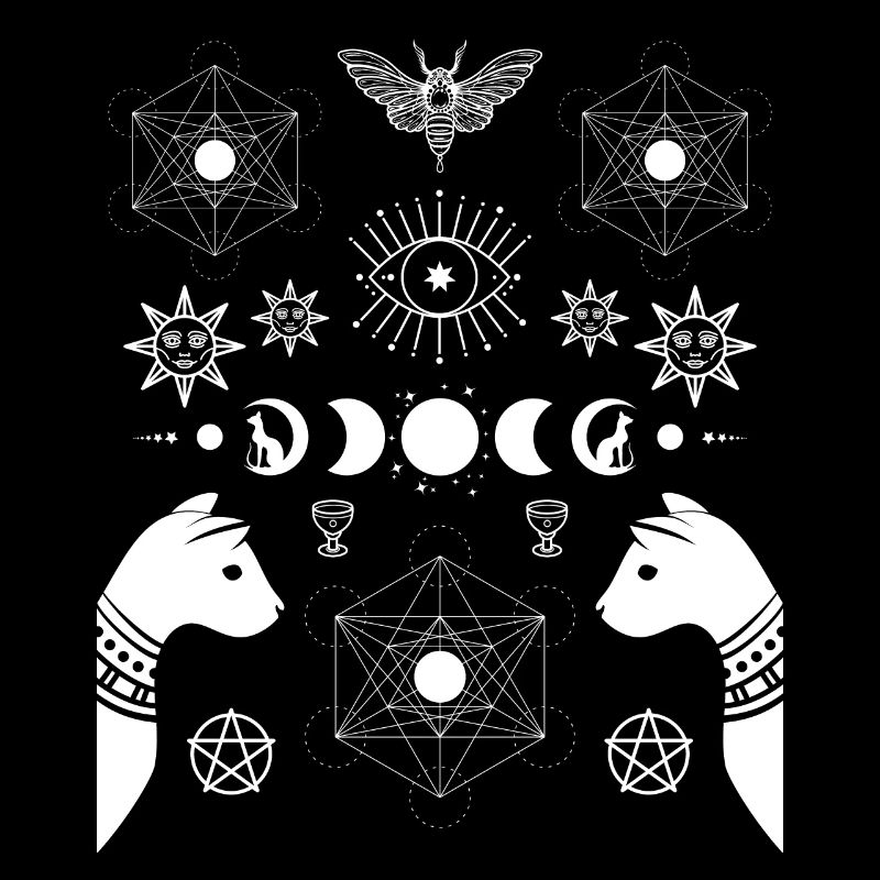 Cat Luna Moth Moon Phases Dark Academia Esthétique