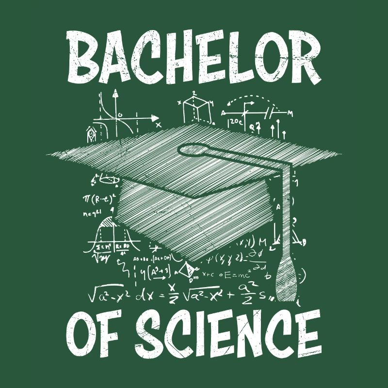 Bachelor of Science Mathematics Physics