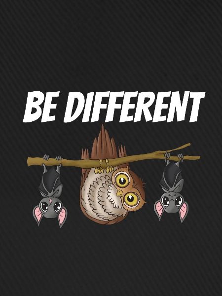 Owl bat
