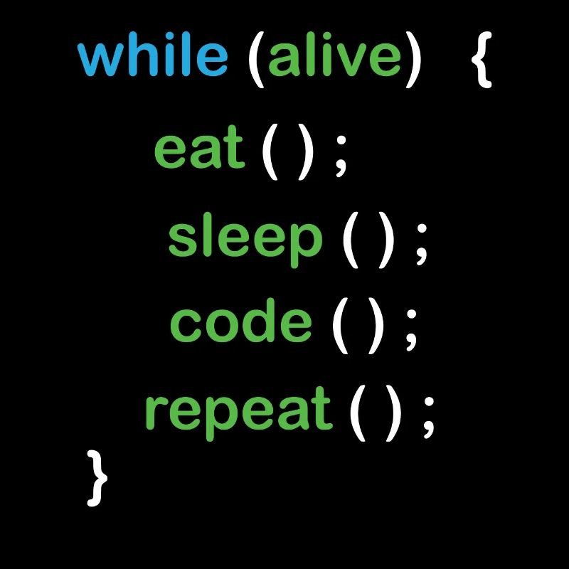 Python Coding Software Developer