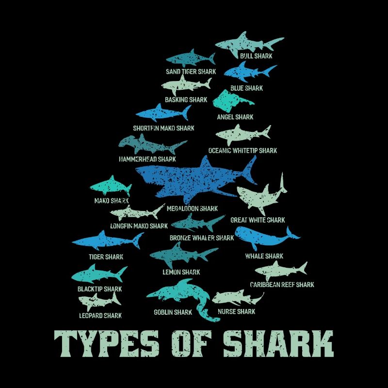 Shark