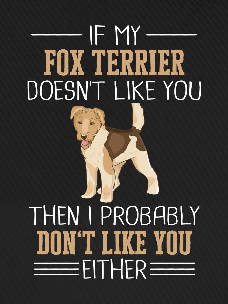 Fox Terrier Dog