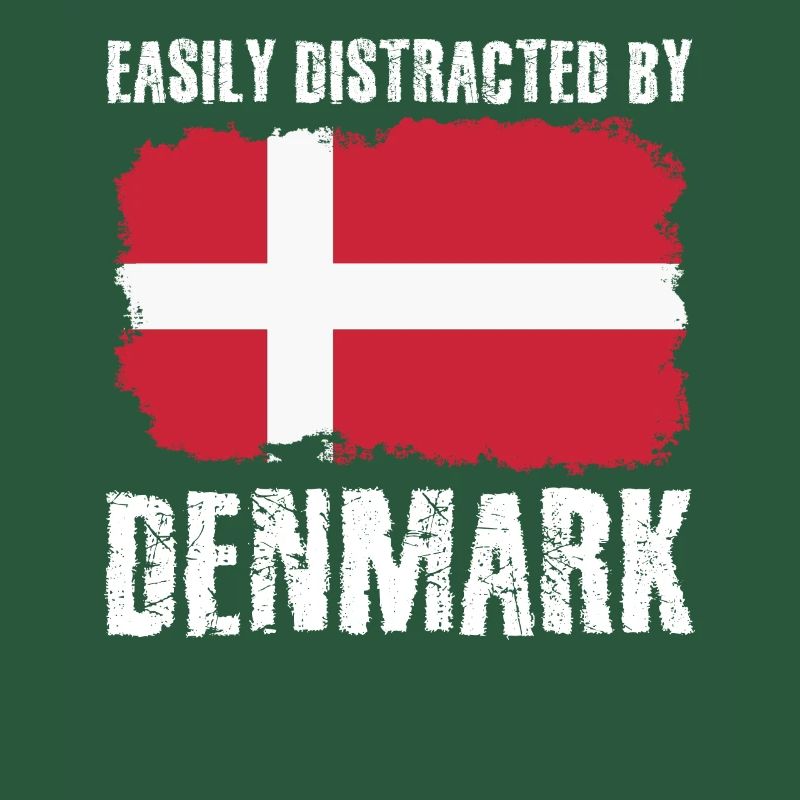 Dänemark Flagge Danish Denmark