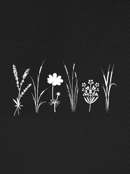 Wildflowers
