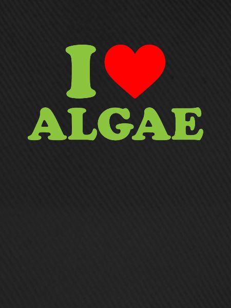 I love algae, algae diatom