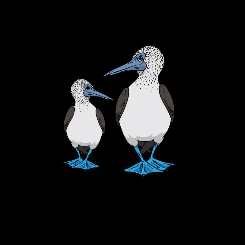Galapagos Islands