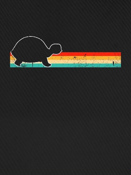 Turtle Retro