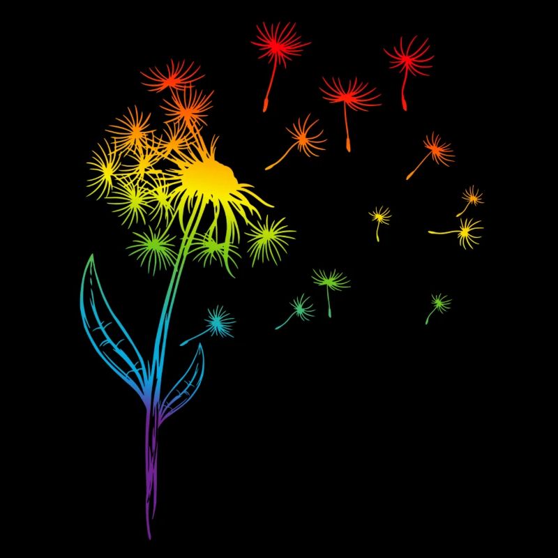Pusteblume Löwenzahn Regenbogen Pflanze