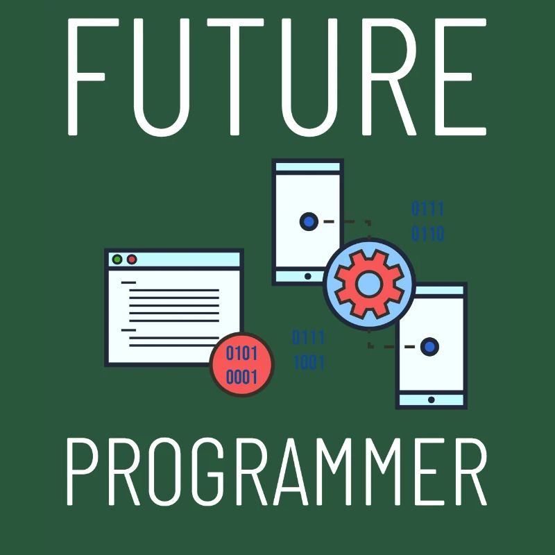 Programmeur Programmation Ordinateur Développeur Pc