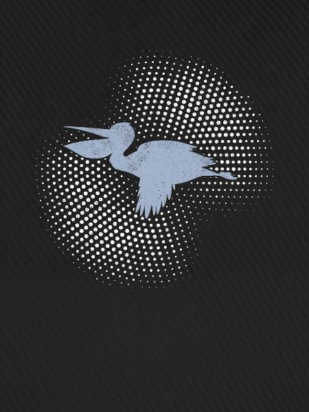 Pelican