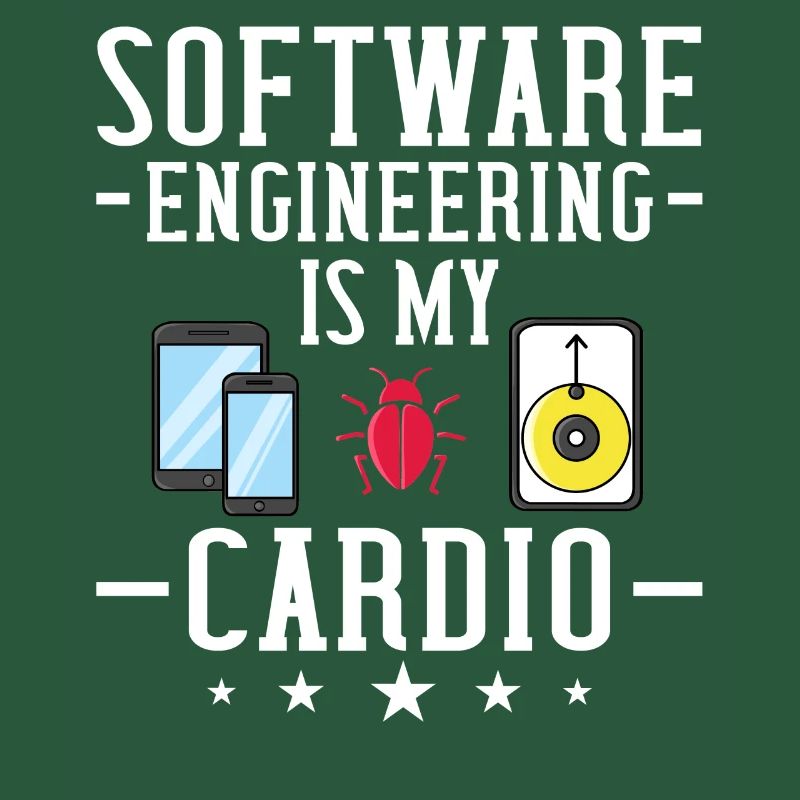 Software Engineering Softwaretechnik Ingenieur