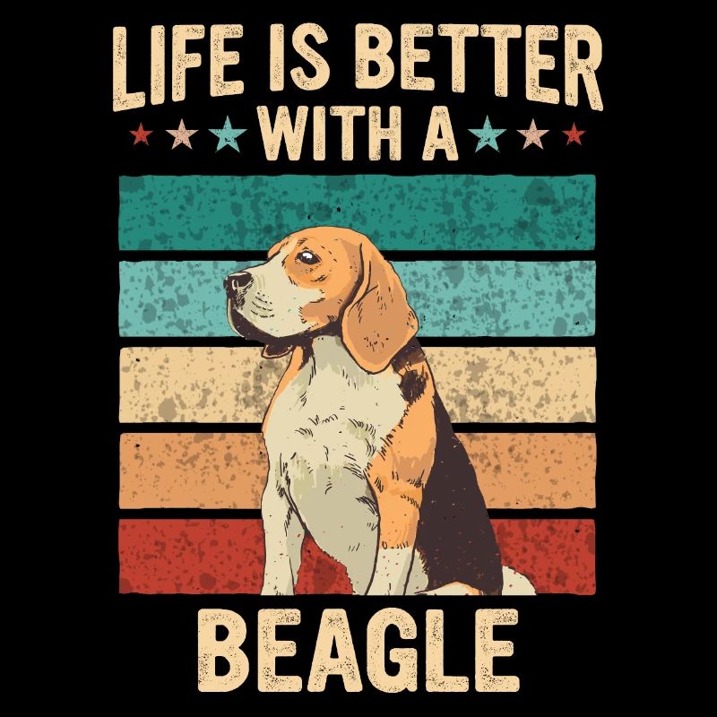 Chien Beagle