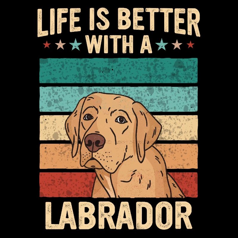 Chien Labrador
