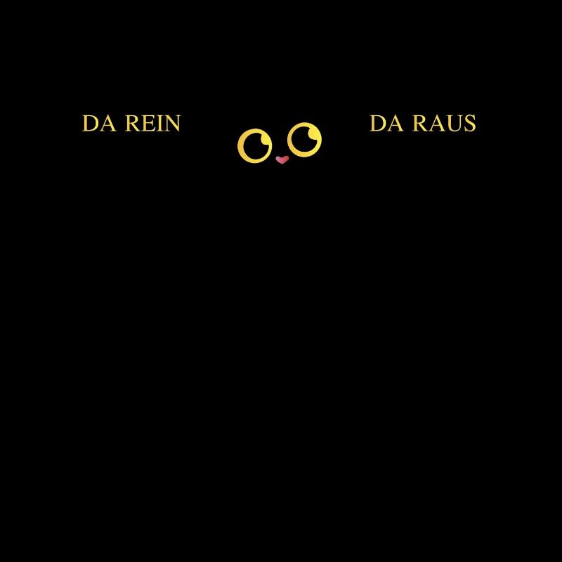 Katze da rein da raus
