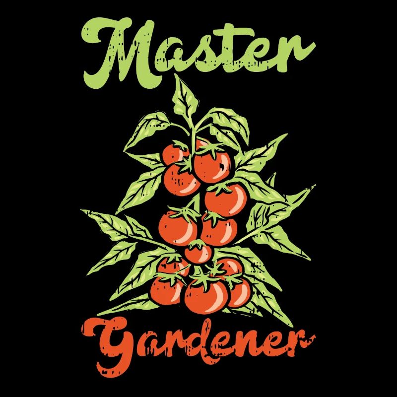 Tomate