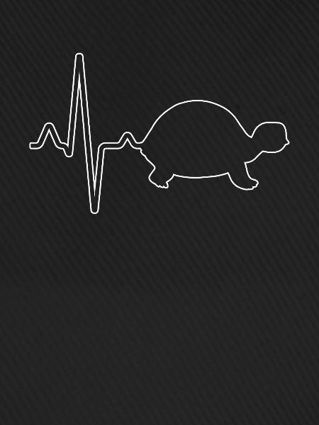 Turtle Heartbeat